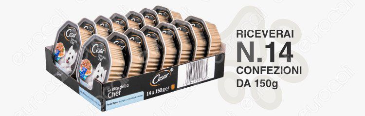 banner cesar 14 vaschette 150g