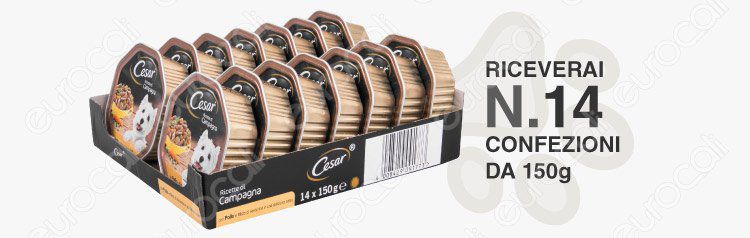 banner cesar 14 vaschette 150g