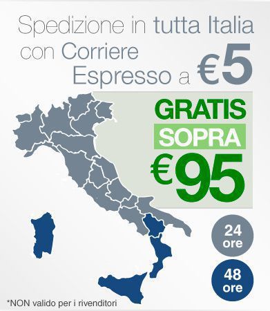 Condizioni consegna eurocali