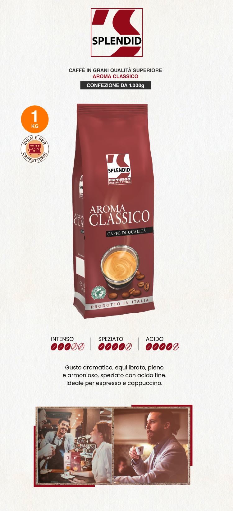 Splendid Caffè Espresso in Grani Aroma Classico 1Kg