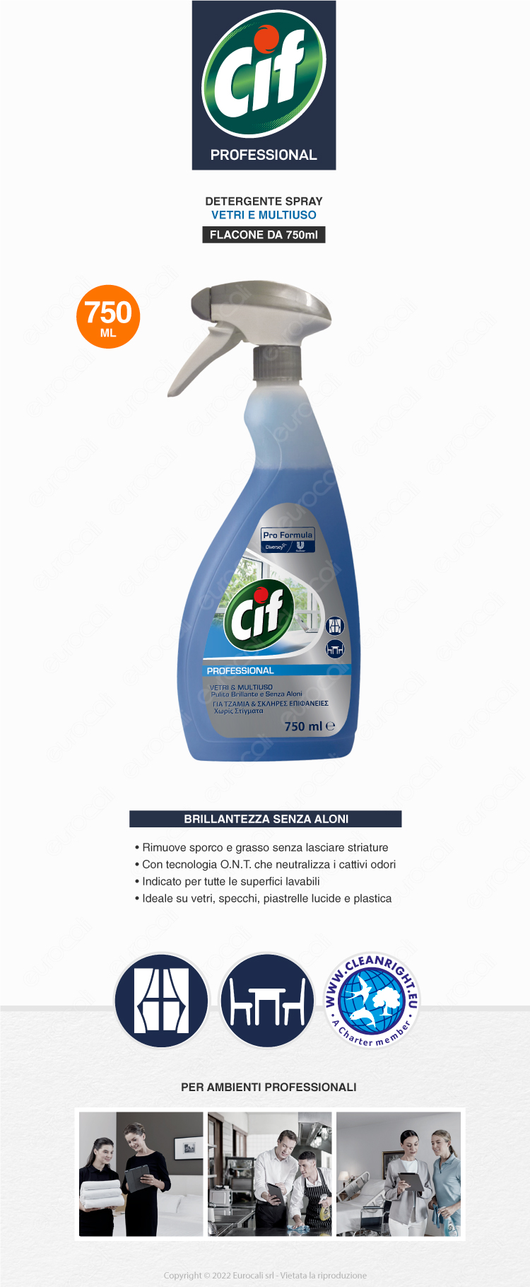 Detergente Spray Vetri e Multiuso da 750ml Cif Professional