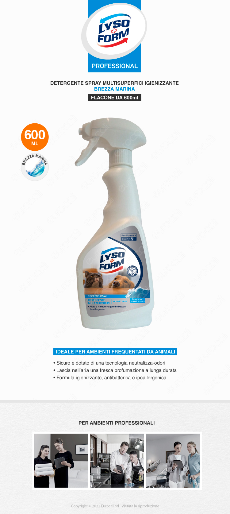 Lysoform Professional Detergente Multisuperficie Igienizzante Brezza Marina
